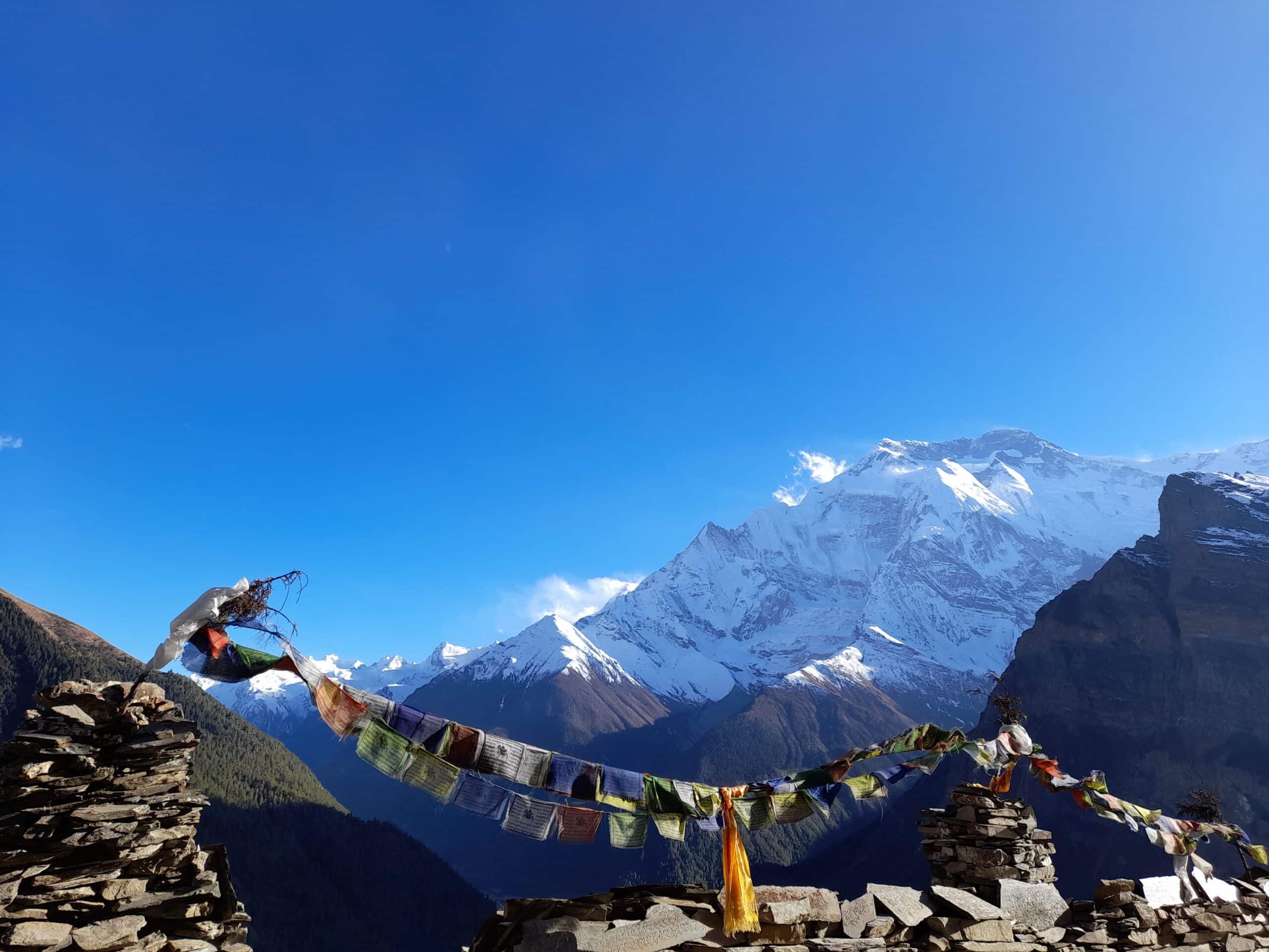 trek tour annapurnas