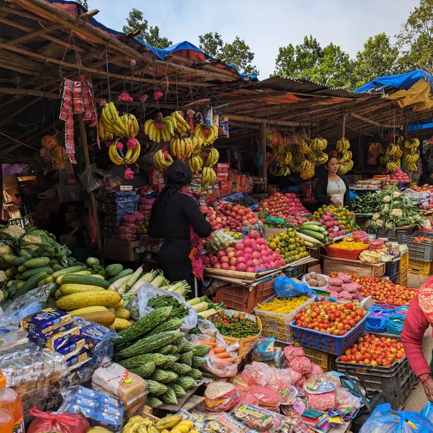 trek tour du manaslu
