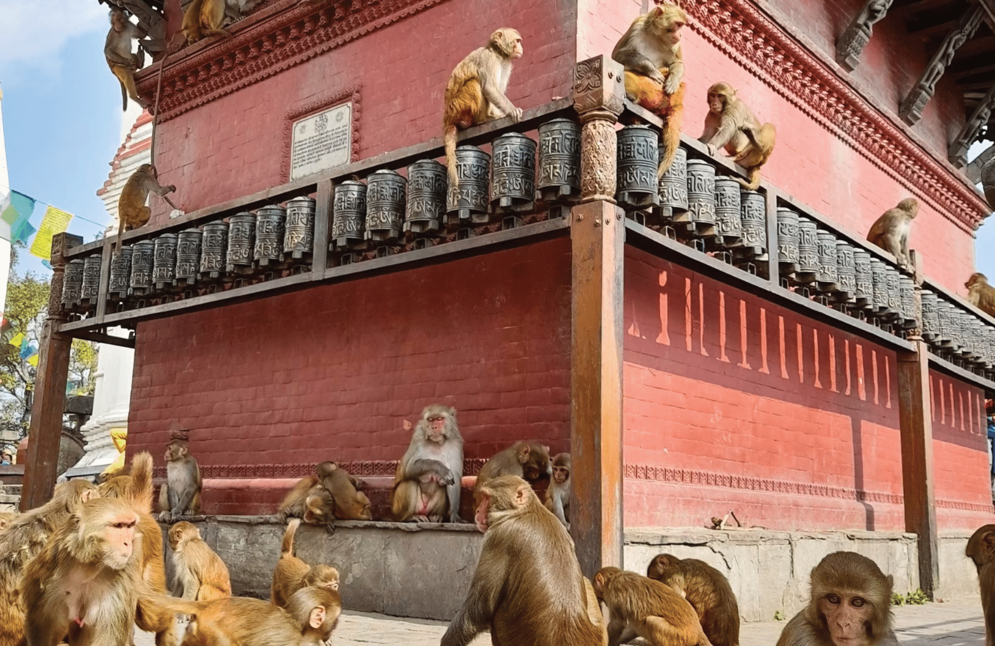 Durbar Square à Katmandou