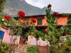 tour des annapurnas