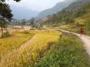 trek népal annapurnas